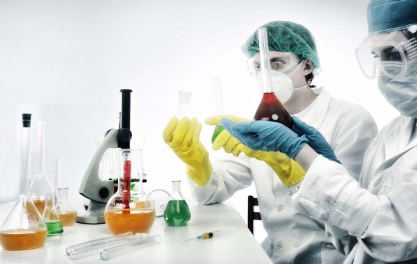 Sed blandit massa vel