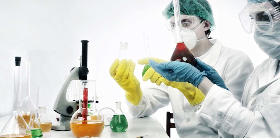 Sed blandit massa vel