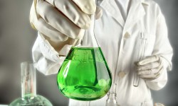 Etiam dictum egestas