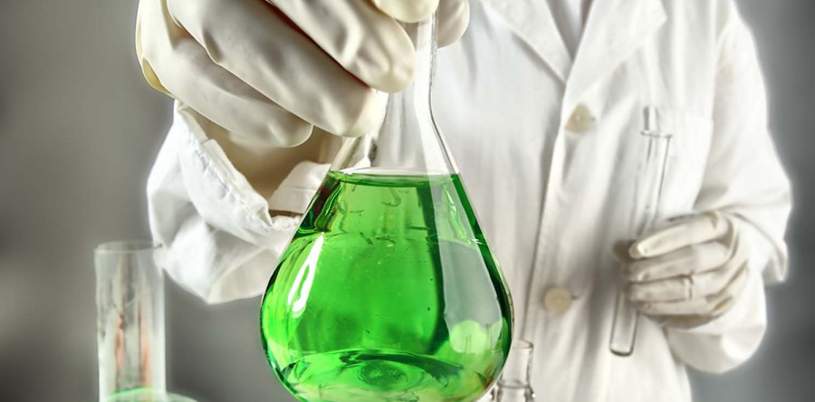 Etiam dictum egestas